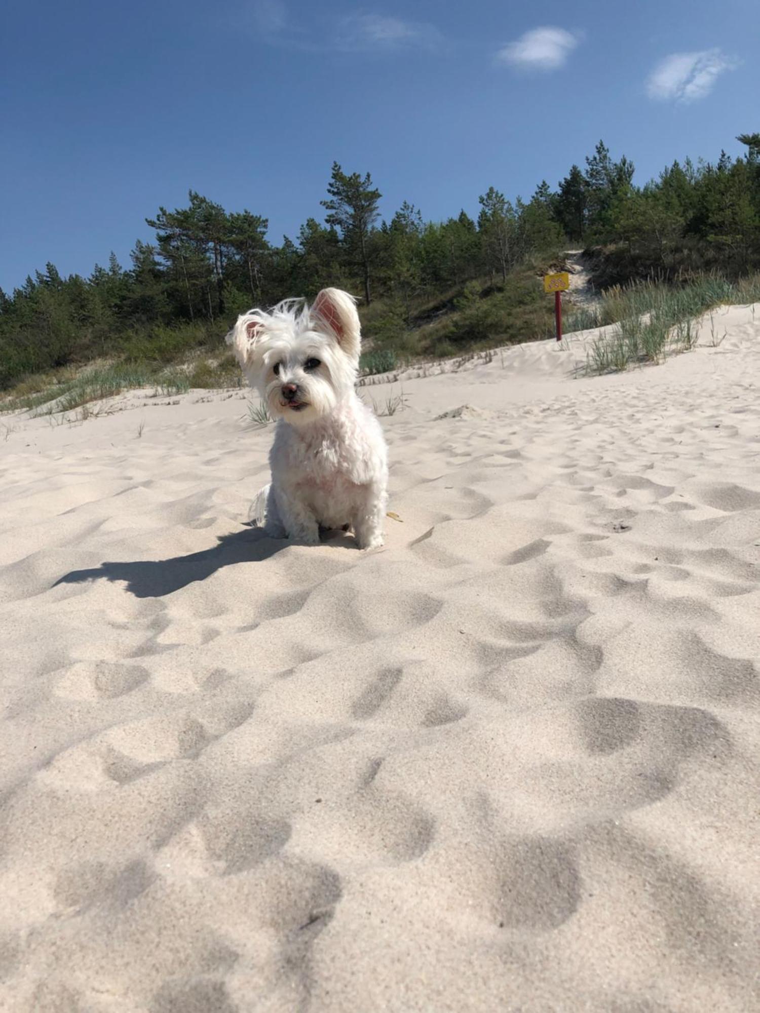 Baltic Holidays